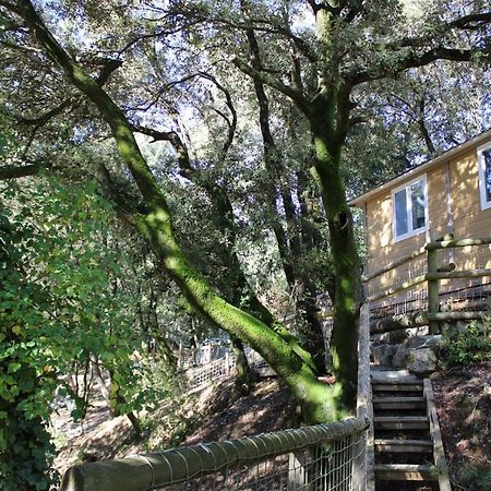 Le Domaine Du Naizadou Chalet Lou Grilh Villa La Barriére Exterior foto